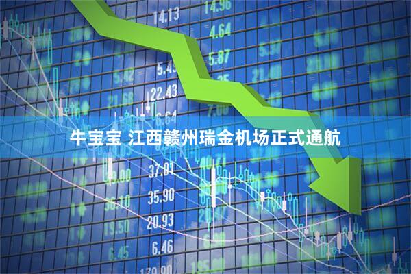 牛宝宝 江西赣州瑞金机场正式通航