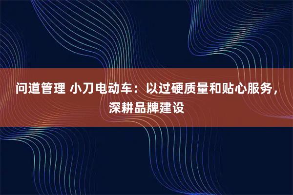 问道管理 小刀电动车：以过硬质量和贴心服务，深耕品牌建设