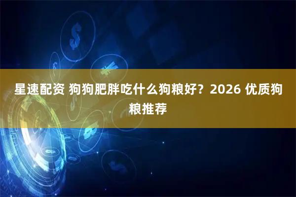星速配资 狗狗肥胖吃什么狗粮好？2026 优质狗粮推荐