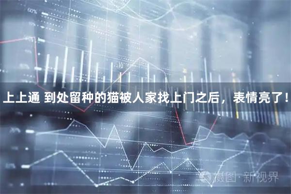 上上通 到处留种的猫被人家找上门之后，表情亮了！