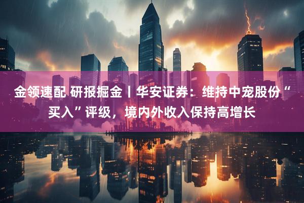 金领速配 研报掘金丨华安证券：维持中宠股份“买入”评级，境内外收入保持高增长