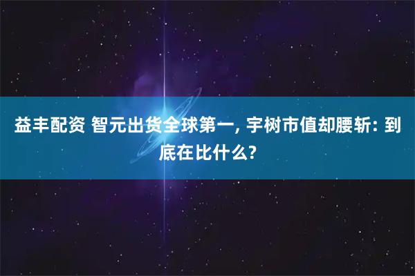 益丰配资 智元出货全球第一, 宇树市值却腰斩: 到底在比什么?